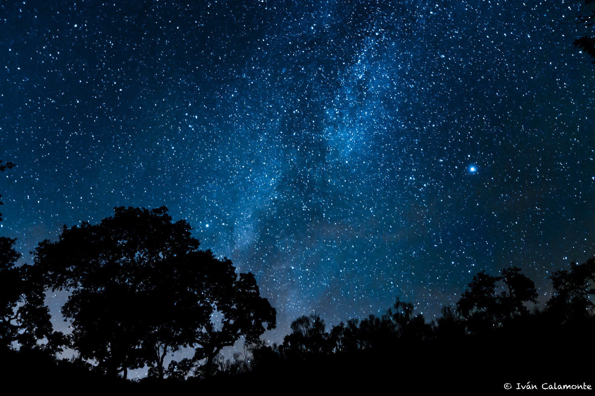 La Dehesa en la noche