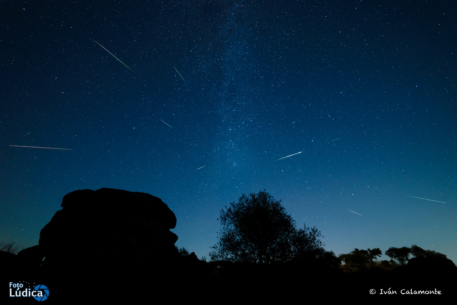 Perseidas